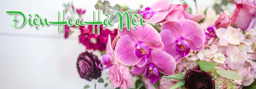 Dịch vụ hoa tươi - điện hoa Hà Nội