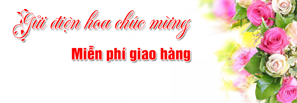 Banner chính 2